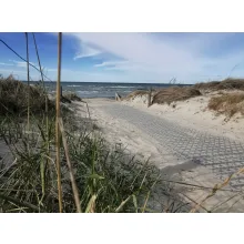 Paddockplatte im Sand